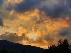 23676884-Ferienwohnung-4-Schönau am Königssee-300x225-5