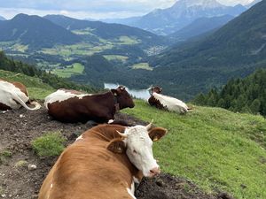 23996036-Ferienwohnung-2-Schönau am Königssee-300x225-3