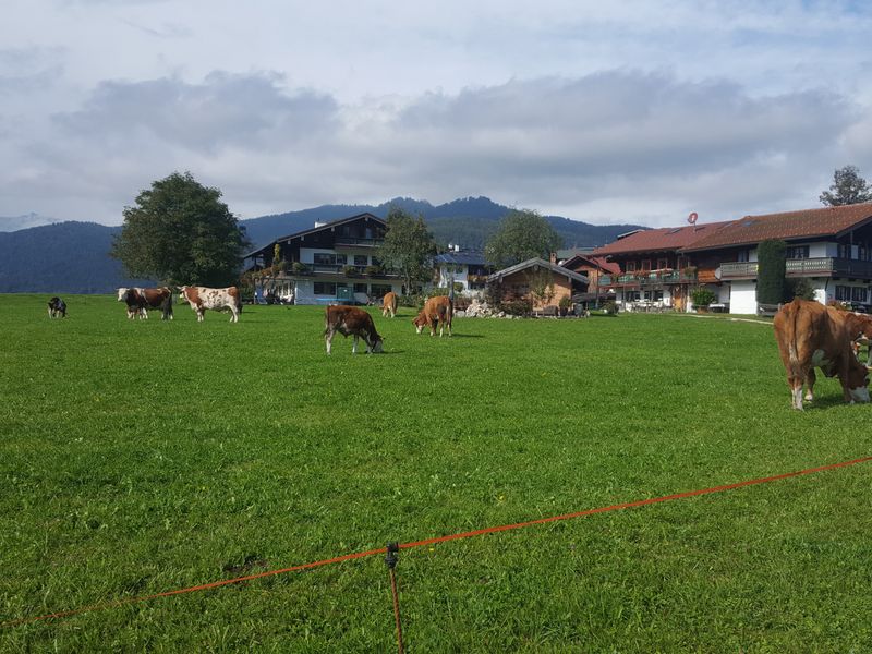 24006831-Ferienwohnung-4-Schönau am Königssee-800x600-0