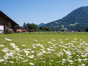 148050-Ferienwohnung-2-Schönau am Königssee-300x225-4