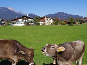 91812-Ferienwohnung-4-Schönau am Königssee-300x225-5