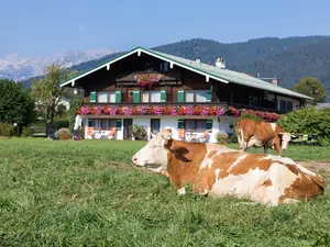Ferienwohnung für 2 Personen (27 m²) in Schönau am Königssee