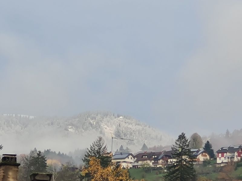 23880758-Ferienwohnung-3-Schönau im Schwarzwald-800x600-1