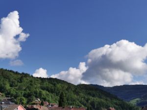 23880758-Ferienwohnung-2-Schönau im Schwarzwald-300x225-5