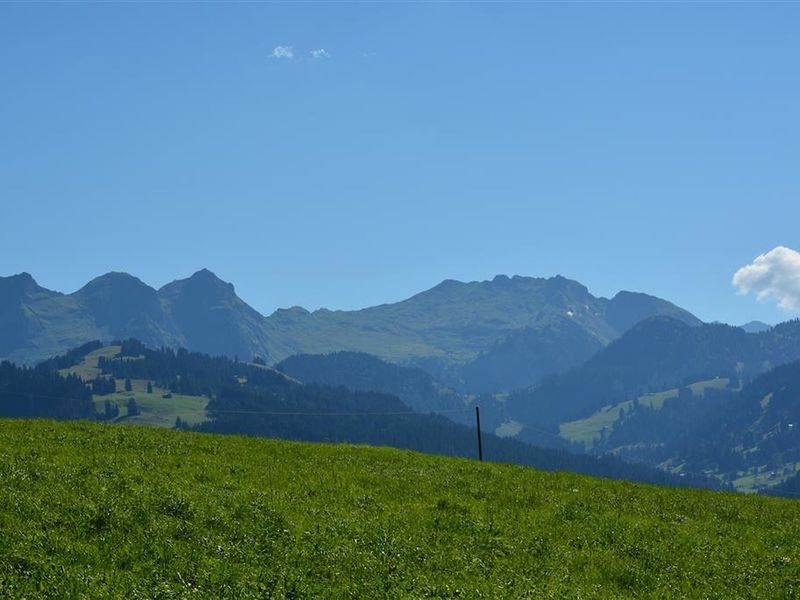 23840205-Ferienwohnung-12-Schönried-800x600-2