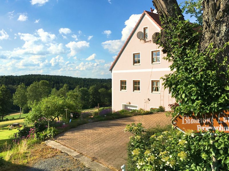 19341795-Ferienwohnung-10-Schönsee-800x600-1