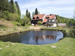 Ferienwohnung für 10 Personen (190 m²) in Schönsee