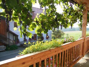 Ferienwohnung für 4 Personen (50 m²) in Schönsee