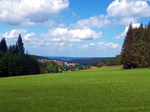 22649145-Ferienwohnung-2-Schönwald im Schwarzwald-300x225-2