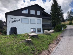 Ferienwohnung für 3 Personen (38 m&sup2;) in Schönwald im Schwarzwald