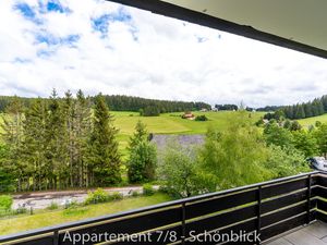 17994577-Ferienwohnung-4-Schönwald im Schwarzwald-300x225-3