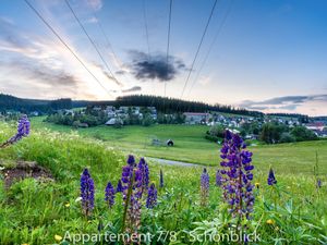 17994577-Ferienwohnung-4-Schönwald im Schwarzwald-300x225-5