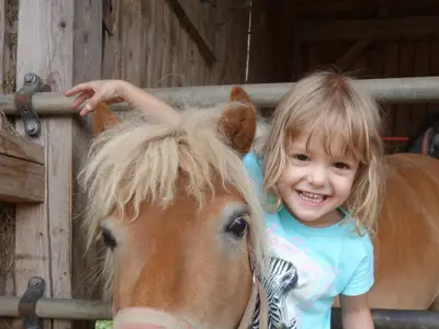 Pony lieb haben