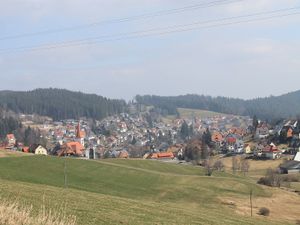 2849054-Ferienwohnung-3-Schonach im Schwarzwald-300x225-5