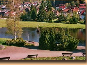 18087310-Ferienwohnung-2-Schonach im Schwarzwald-300x225-5