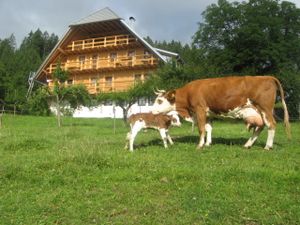 Ferienwohnung für 4 Personen (68 m²) in Schonach im Schwarzwald