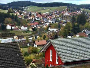 21599571-Ferienwohnung-2-Schonach im Schwarzwald-300x225-4