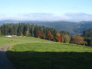 18362095-Ferienwohnung-4-Schonach im Schwarzwald-300x225-2