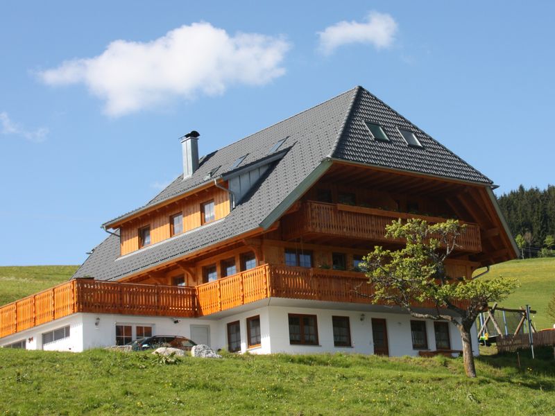 17920205-Ferienwohnung-5-Schonach im Schwarzwald-800x600-0