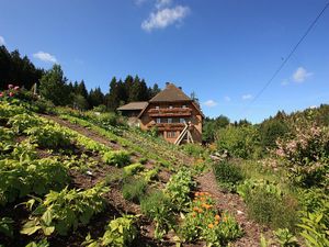 1680767-Ferienwohnung-4-Schonach im Schwarzwald-300x225-3