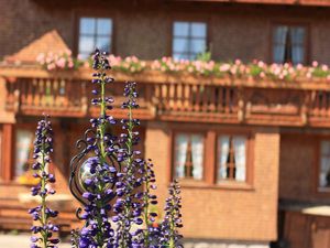 1680769-Ferienwohnung-4-Schonach im Schwarzwald-300x225-4