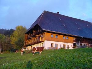 Ferienwohnung für 4 Personen (62 m²) in Schonach im Schwarzwald