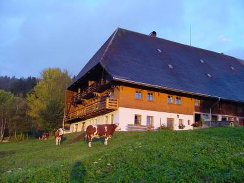 3463993-Ferienwohnung-5-Schonach im Schwarzwald-800x600-0