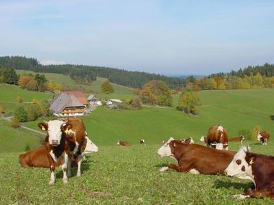 Blick zum Klausenhof