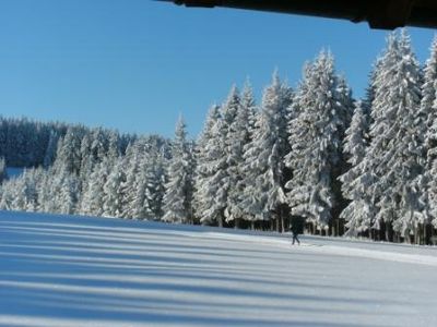 Ferienwohnung für 4 Personen (75 m²) in Schonach im Schwarzwald 9/10