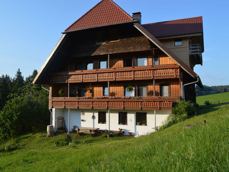 19164170-Ferienwohnung-8-Schonach im Schwarzwald-800x600-1