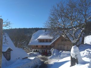 18362094-Ferienwohnung-5-Schonach im Schwarzwald-300x225-2