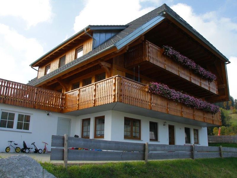 17920206-Ferienwohnung-3-Schonach im Schwarzwald-800x600-2