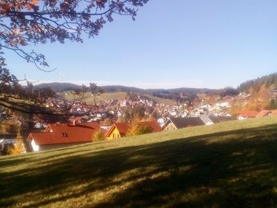 Ferienwohnung für 2 Personen (45 m²) in Schonach im Schwarzwald 8/10