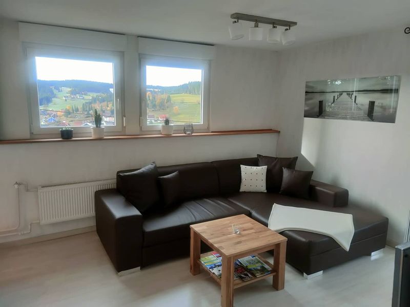 23349577-Ferienwohnung-2-Schonach im Schwarzwald-800x600-2