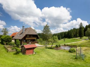Ferienwohnung für 4 Personen (70 m&sup2;) in Schonach im Schwarzwald