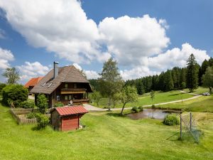 8312507-Ferienwohnung-3-Schonach im Schwarzwald-300x225-0