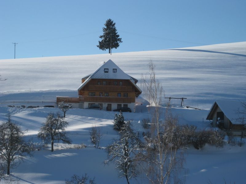 17920206-Ferienwohnung-3-Schonach im Schwarzwald-800x600-1