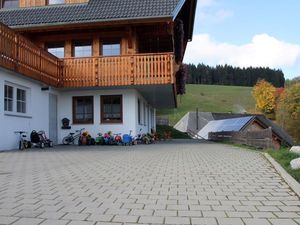 17920205-Ferienwohnung-5-Schonach im Schwarzwald-300x225-4