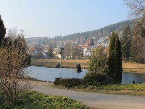 2849055-Ferienwohnung-4-Schonach im Schwarzwald-300x225-2