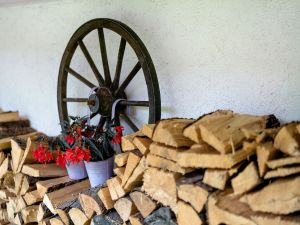 8312506-Ferienwohnung-2-Schonach im Schwarzwald-300x225-5