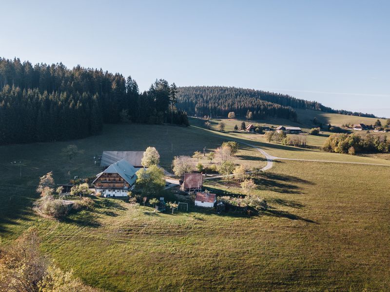 23471196-Ferienwohnung-2-Schonach im Schwarzwald-800x600-1