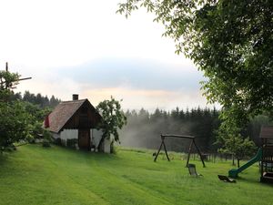 23471196-Ferienwohnung-2-Schonach im Schwarzwald-300x225-4