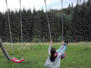 18362095-Ferienwohnung-4-Schonach im Schwarzwald-300x225-5