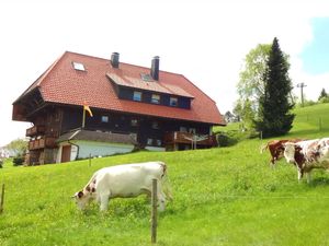 Ferienwohnung für 5 Personen (60 m&sup2;) in Schonach im Schwarzwald