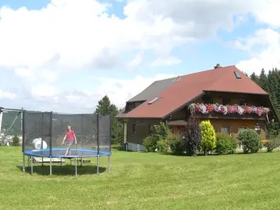 Ferienwohnung für 4 Personen (75 m²) in Schonach im Schwarzwald 4/10