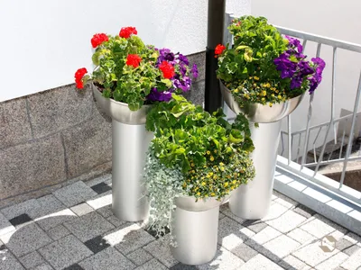 Blumen