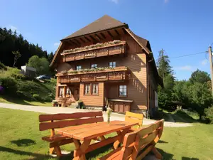 Ferienwohnung für 4 Personen (55 m²) in Schonach im Schwarzwald