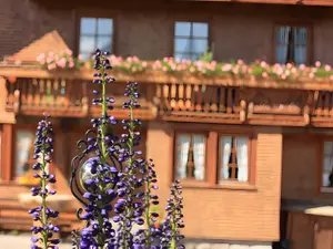 Ferienwohnung für 4 Personen (55 m²) in Schonach im Schwarzwald