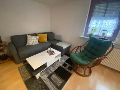 Ferienwohnung für 3 Personen (60 m²) in Schonach im Schwarzwald 8/10