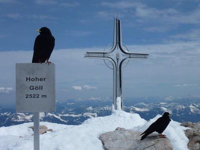 Falzalm im Hintergrund die Watzmannfrau